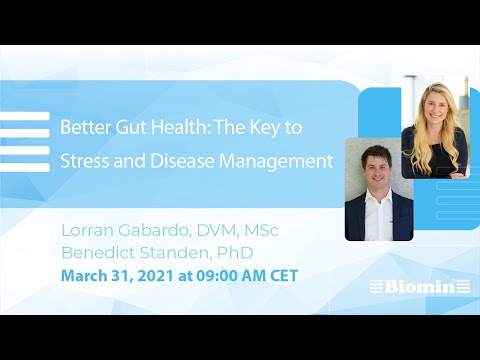 Better Gut Health: The Key to Stress and Disease Management