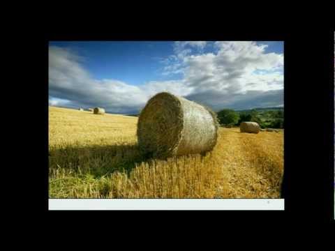 TEDxHalifax - Jim Trussler - Hay Energy: The Next Green Revolution