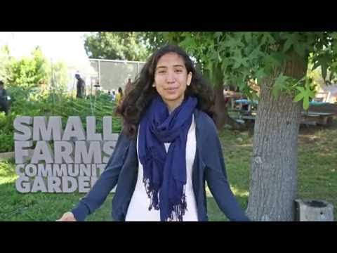 Urban Farming - How Our Cities Can Grow Local, Affordable Food | California Academy of Sciences