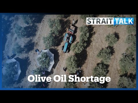 Could Turkiye Help Alleviate Europe&#039;s Olive Oil Supply Crisis?