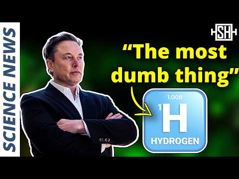 “The most dumb thing&quot; for energy storage: Hydrogen