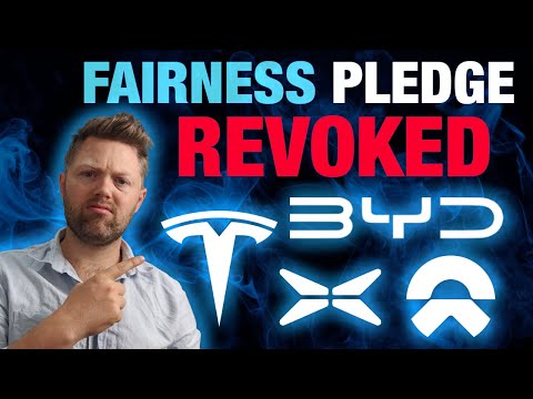 BYD, Tesla, Nio, Xpeng, Li Auto, Removed Joint Pledge for reasonable pricing after 2 days