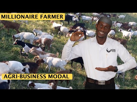 How to Earn Millions Everyday From Your Zero- Grazing Farm | Agri-Business | 2024