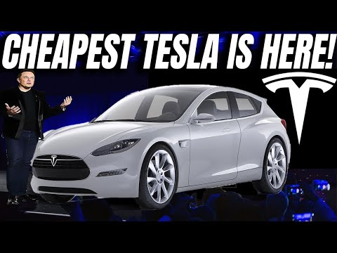 ELON MUSK And TESLA Have REVEALED Their MOST EXCITING PROJECT EVER!!