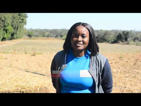 Empowering Farmers for Sustainable Agricultural Practices Kasenga Village Agriculture Training in Ch