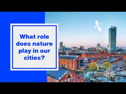 How do we make our cities greener and wilder? | Hubbub Investigates