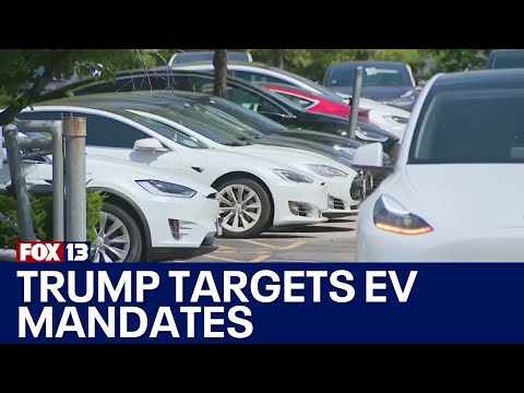 Trump targets EV mandates, automakers scale back | FOX 13 Seattle