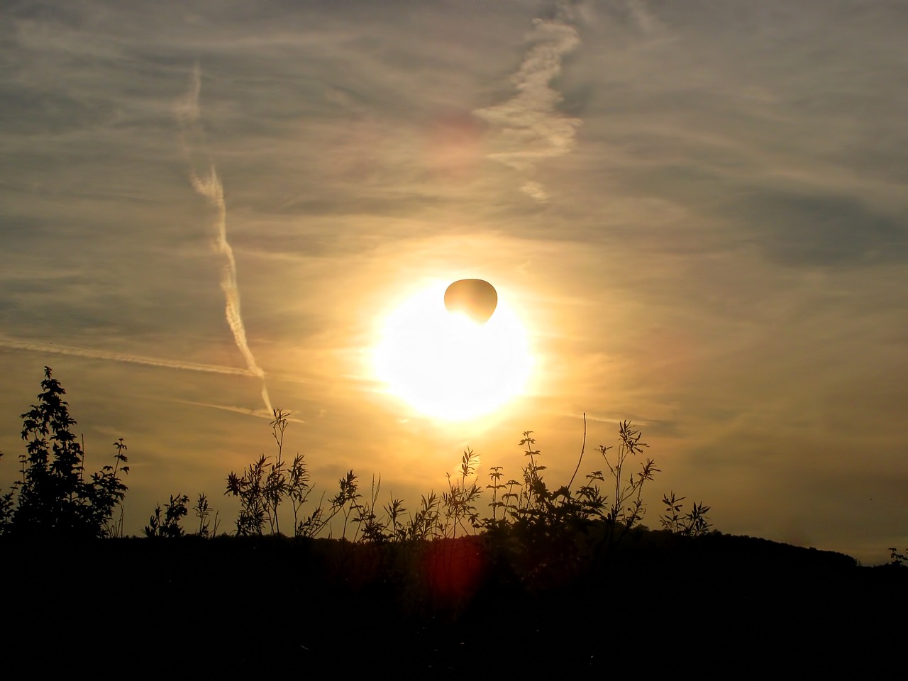 España se prepara para enfrentar la ola de calor más severa: Aemet pronostica más de 45ºC en ciertas regiones